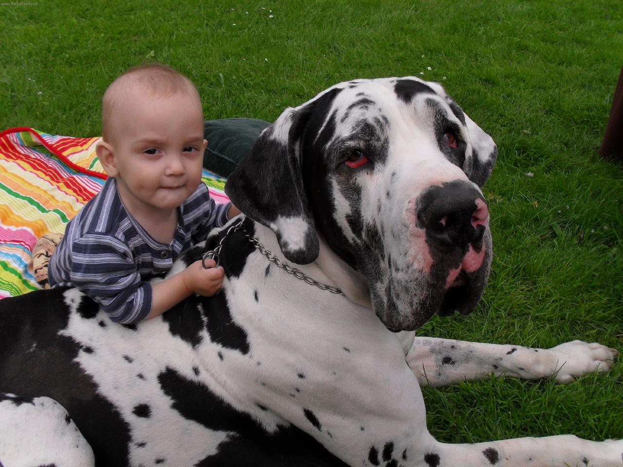 Foto: na�i maz�nci-Argus s Fanou�kem