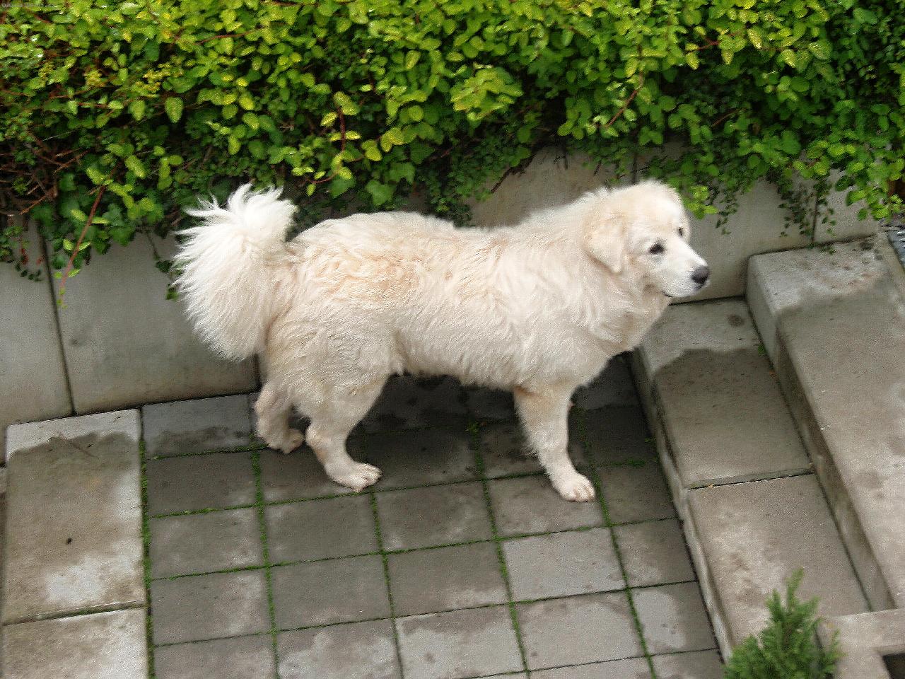 Foto: Andy-Andy 10 m�s�c�