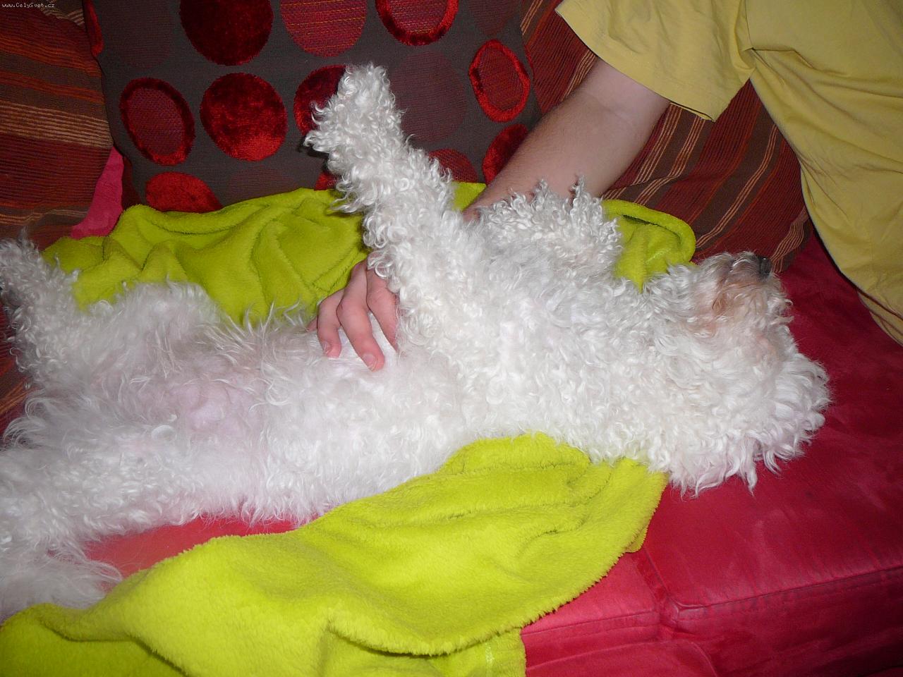 Foto: Angie po 3 letech-Angie po 3 letech