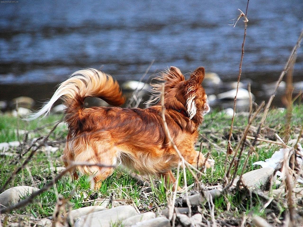 Foto: �ivava Cassiopeia Space beauty-Chovate�sk� stanica �iv�v z Jant�rovej cesty