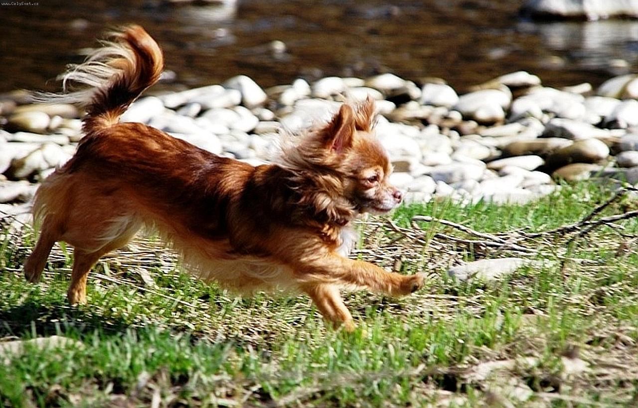 Foto: �ivava Cassiopeia Space beauty-Chovate�sk� stanica �iv�v z Jant�rovej cesty