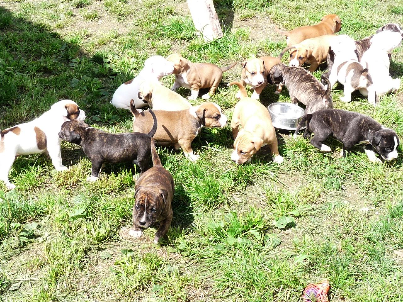 Foto: STAF�CI-poprv� venku