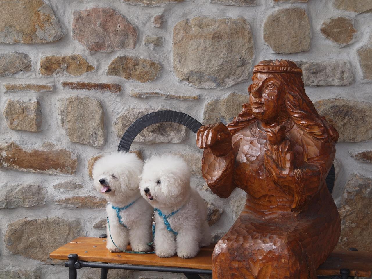 Foto: Bi�ko a Dami�ek