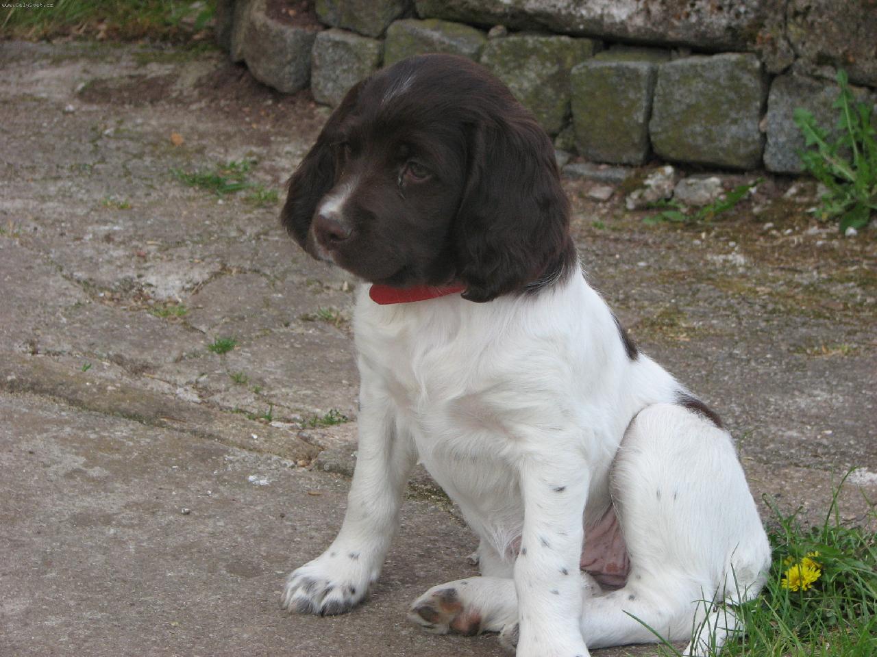 Foto: Arka od Pramene Rokytky-Na�e zlat��ko 2 m�s�ce