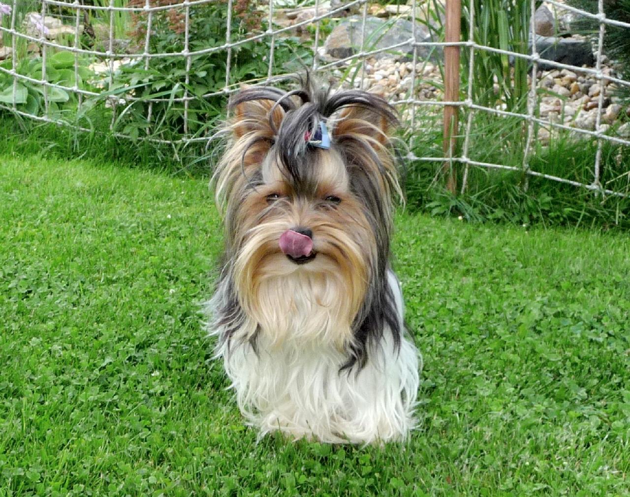 Foto: Gucci-Zas mus�m p�zovat