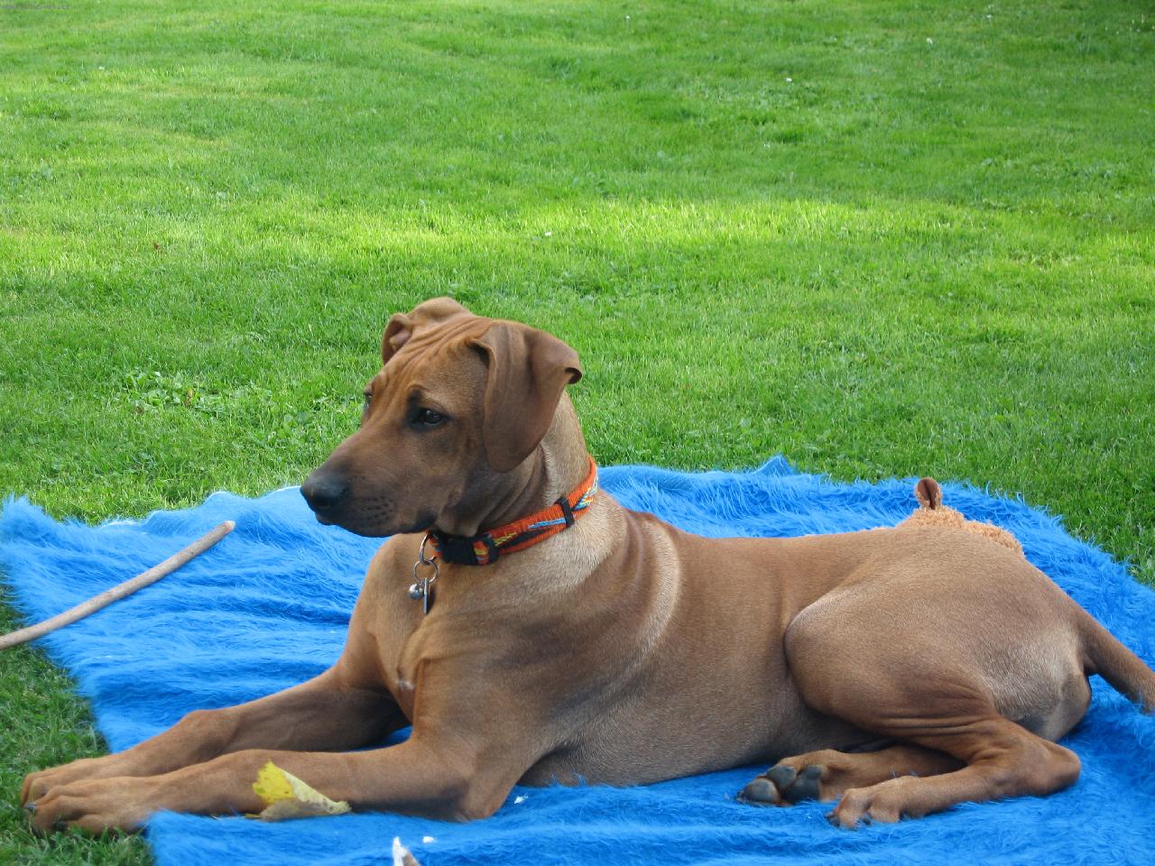 Foto: Gucci Kibo Libami-jsou mi �ty�i m�s�ce a jsem velk� hl�da�