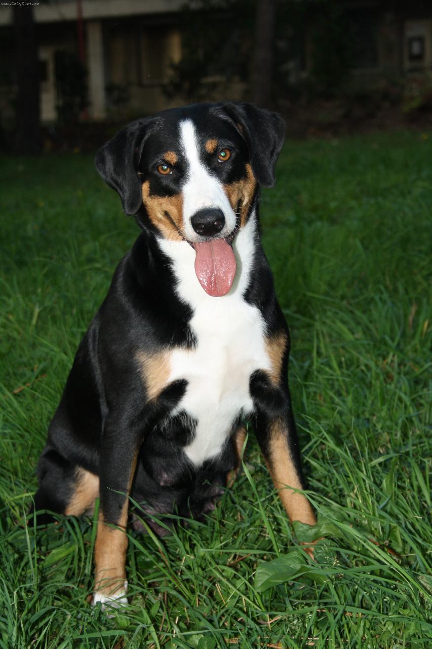 Foto: Ch., JCh. Abora z Velk�ho �jezda jako maminka-po��d kr�sn� :)