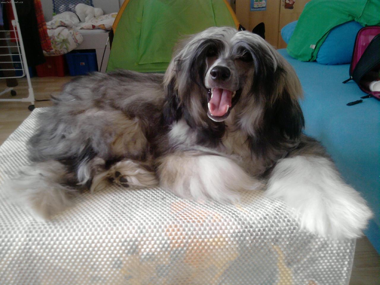 Foto: casino nazarad-casino 9 m�s�c�