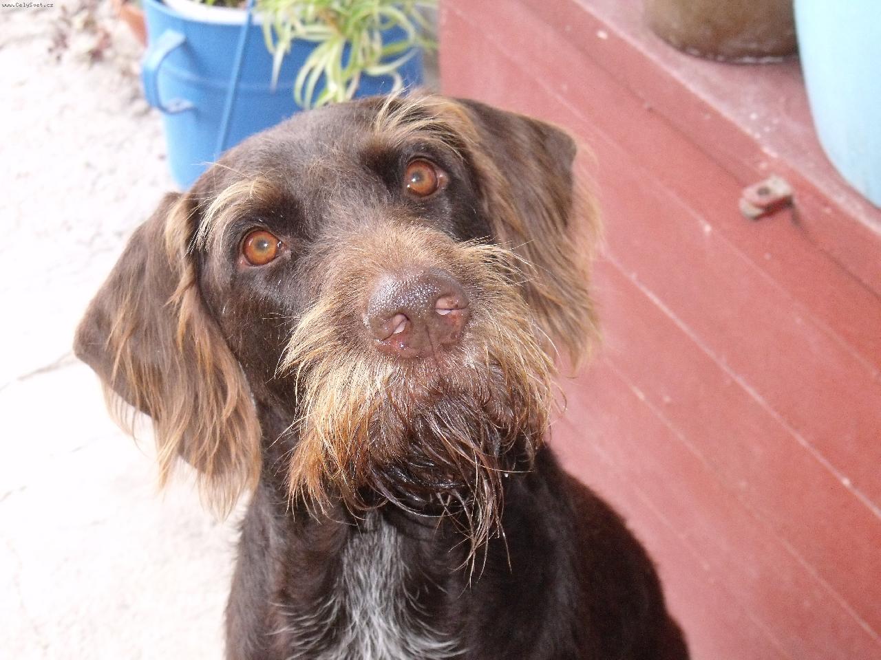 Foto: Orina z kyjovic