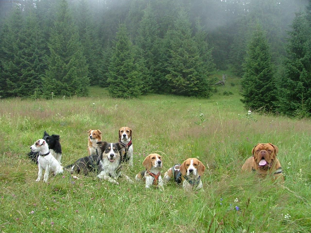 Foto: Magis a jeho kamar�ti-Pri t�re na Cho�