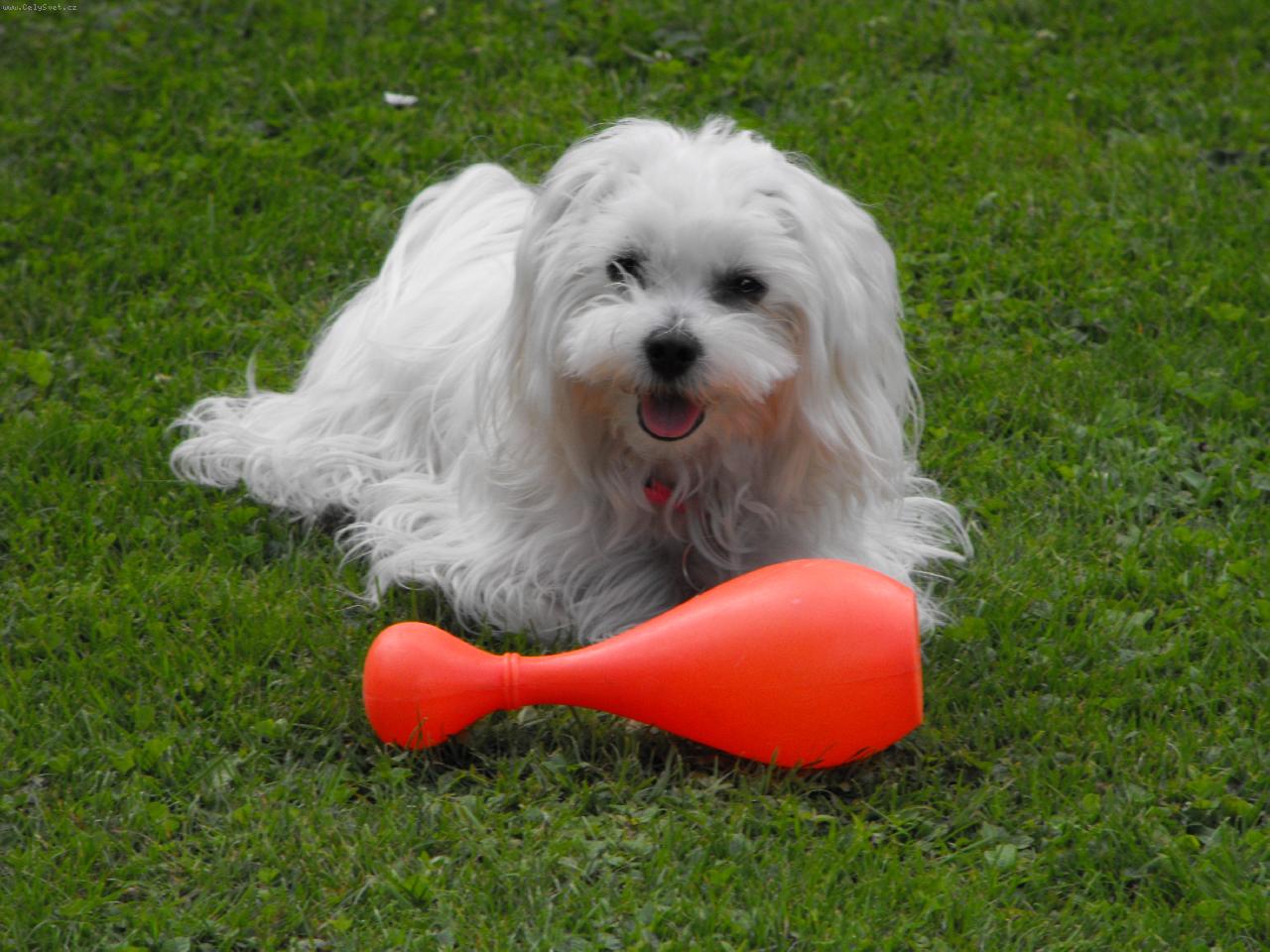 Foto: za nic na sv�t� ji nevr�t�m-N�dhern� hork� l�to podruh�