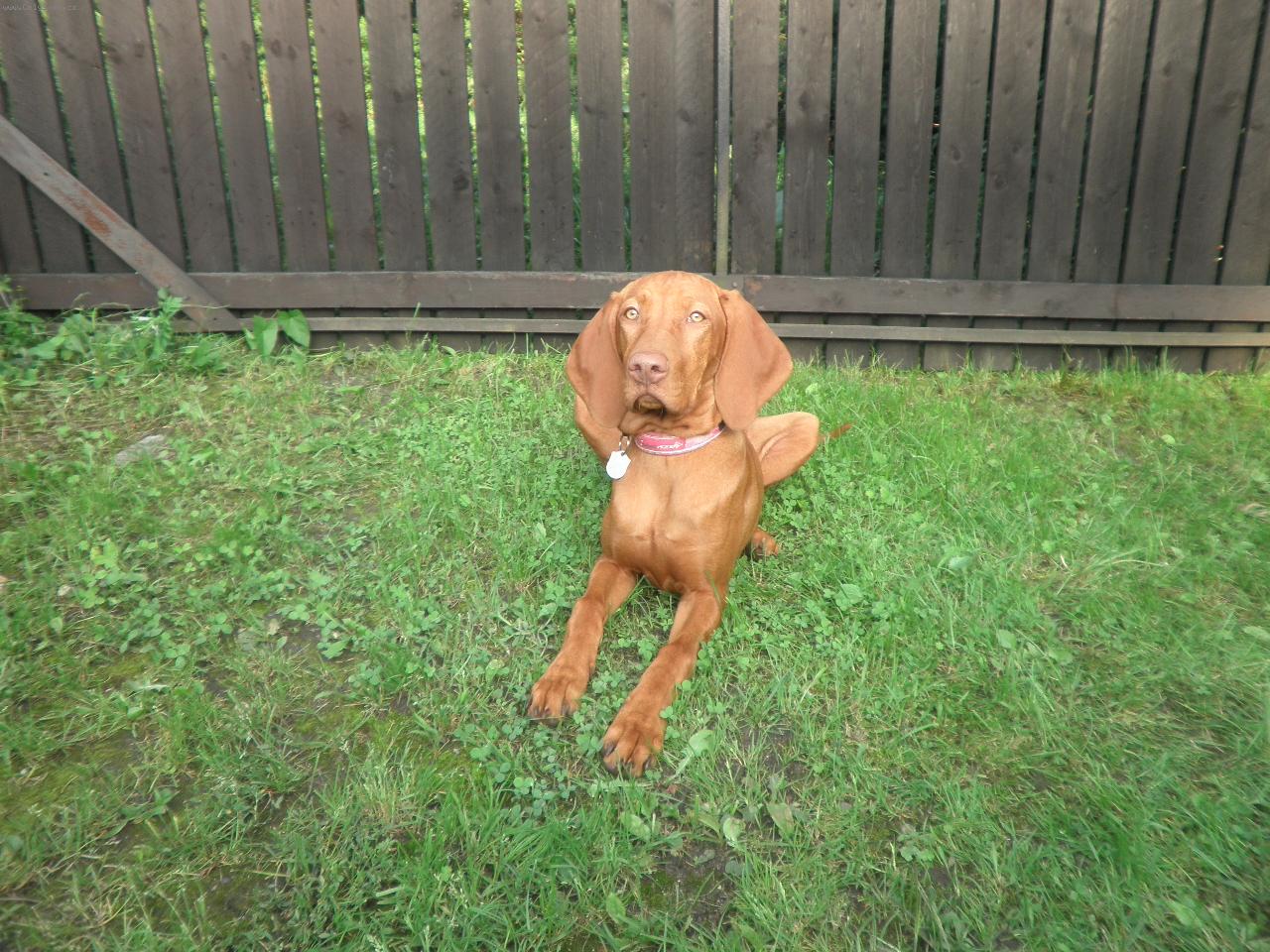 Foto: Sheilinka-Sheilinka si hov� v tr�v�