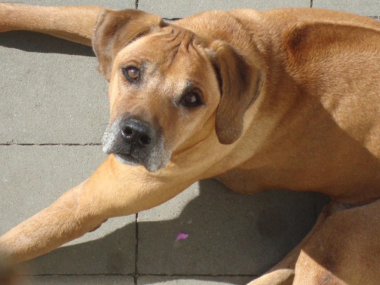 Foto: Castorek,14,5 let-Castorek,14,5 let