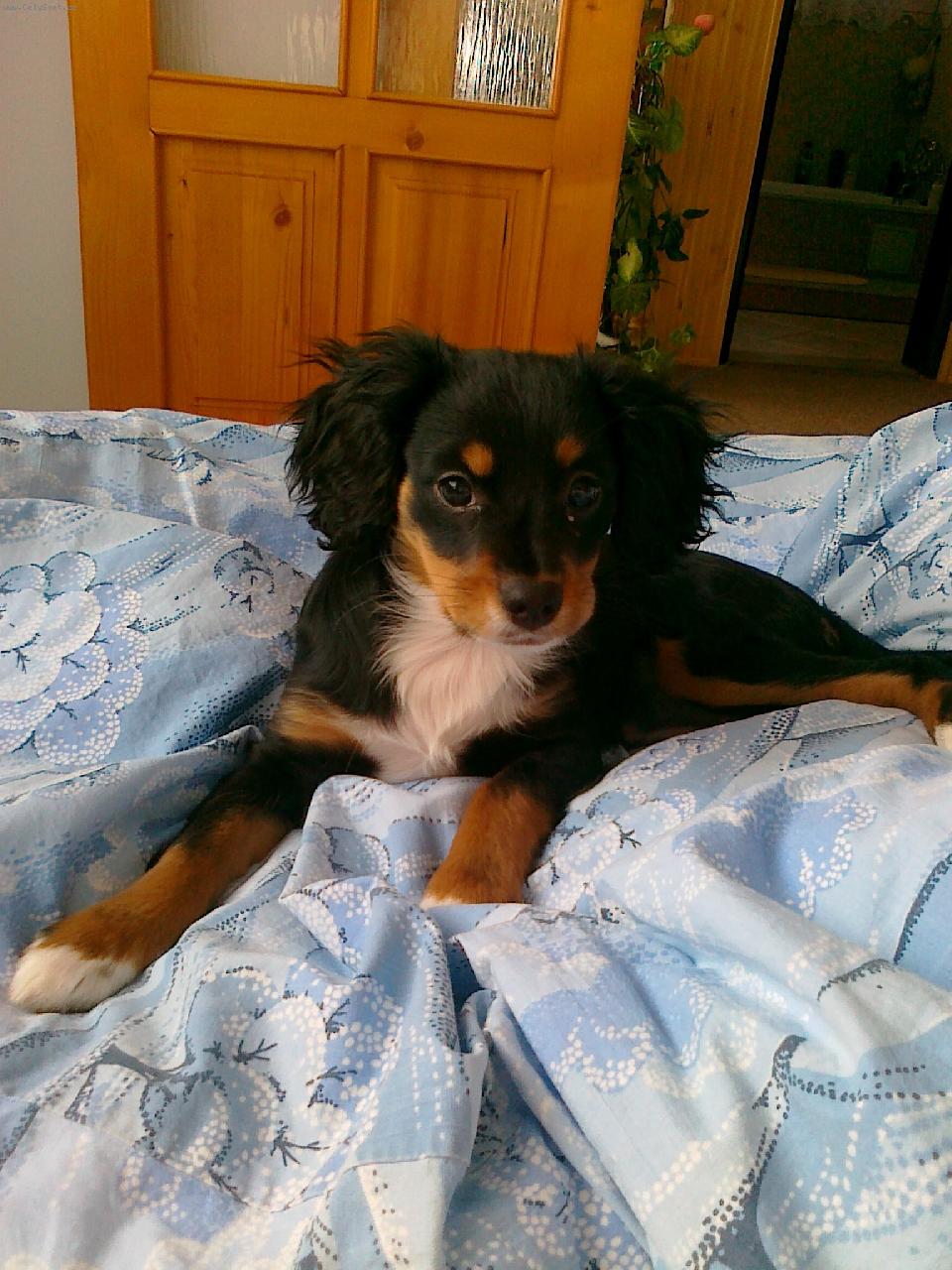 Foto: Peggy-na�e 3 mes��n� sle�na