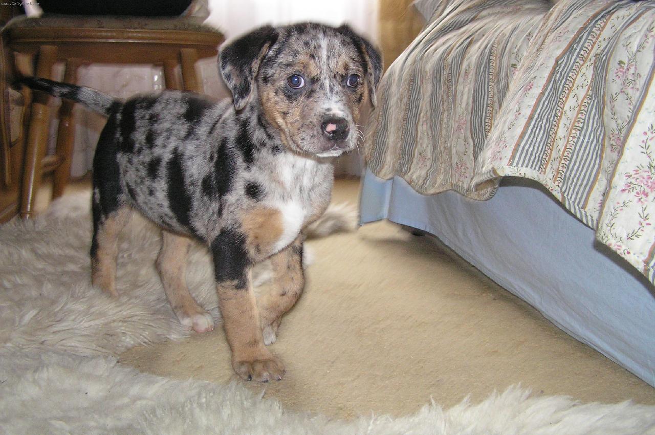 Foto: Luisiana (Luiza)-Luisiana *1.2.2010 p�ivezen� z �tulku