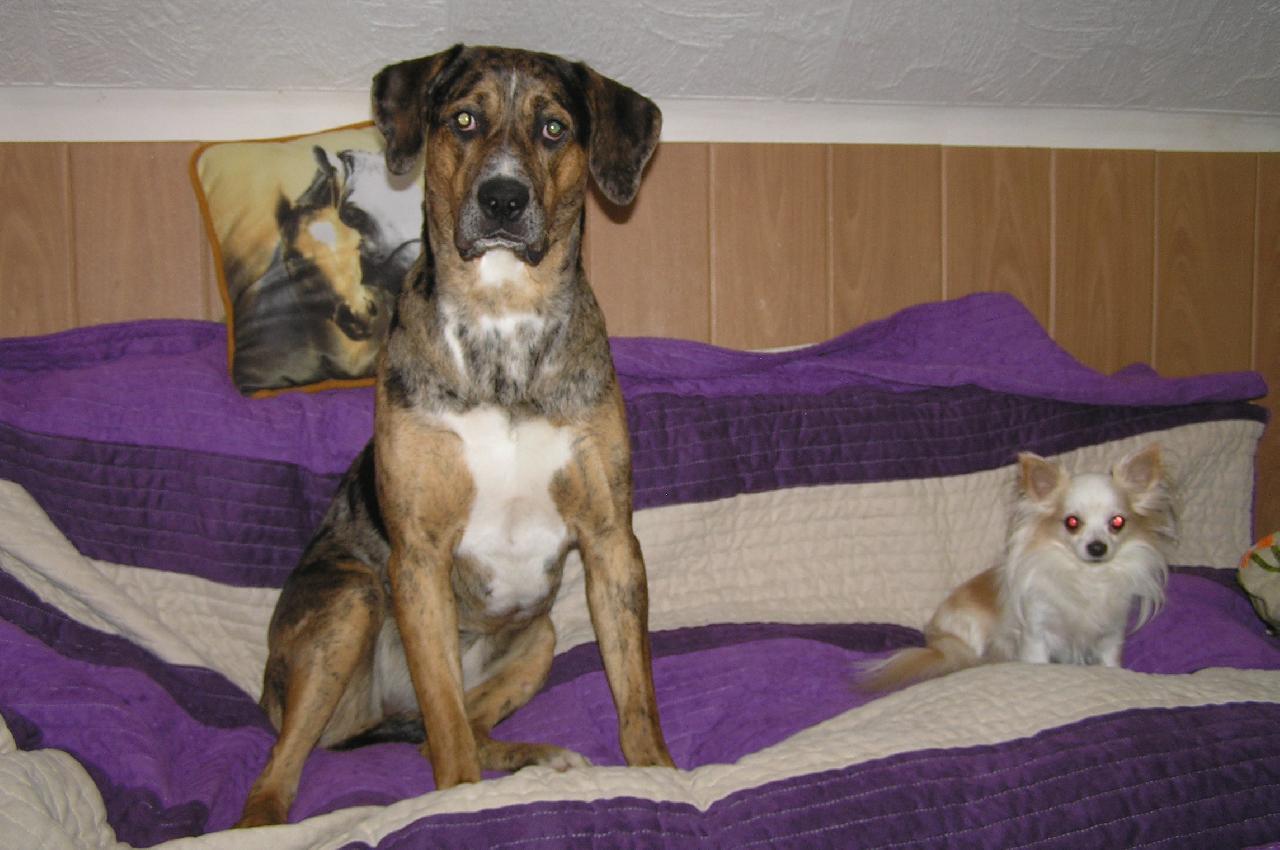 Foto: Luisiana (Luiza)-Luisiana *1.2.2010 p�ivezen� z �tulku