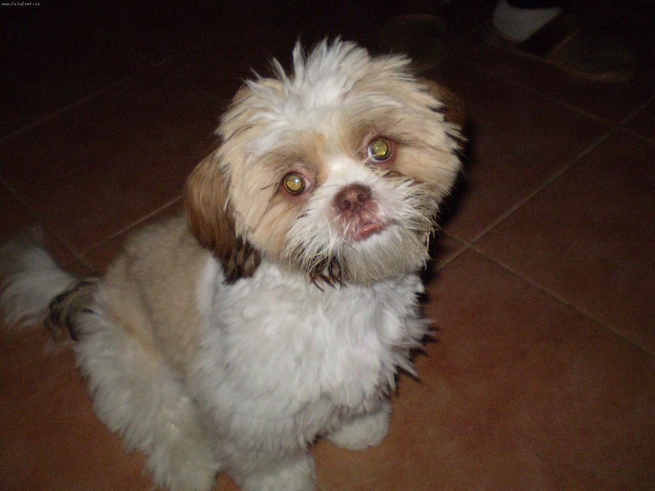 Foto: Peggynka-Ufounek