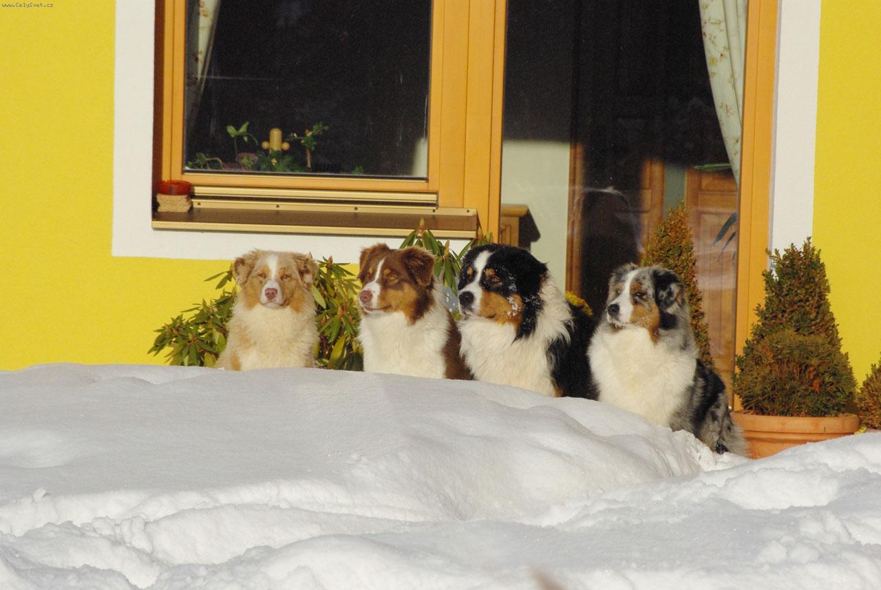 Foto: Na�i aus�ci