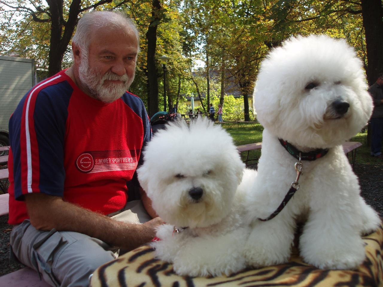 Foto: Abigail Sn�hov� obl��ek a Waby Boy Charnett-V�stava Liberec 2010