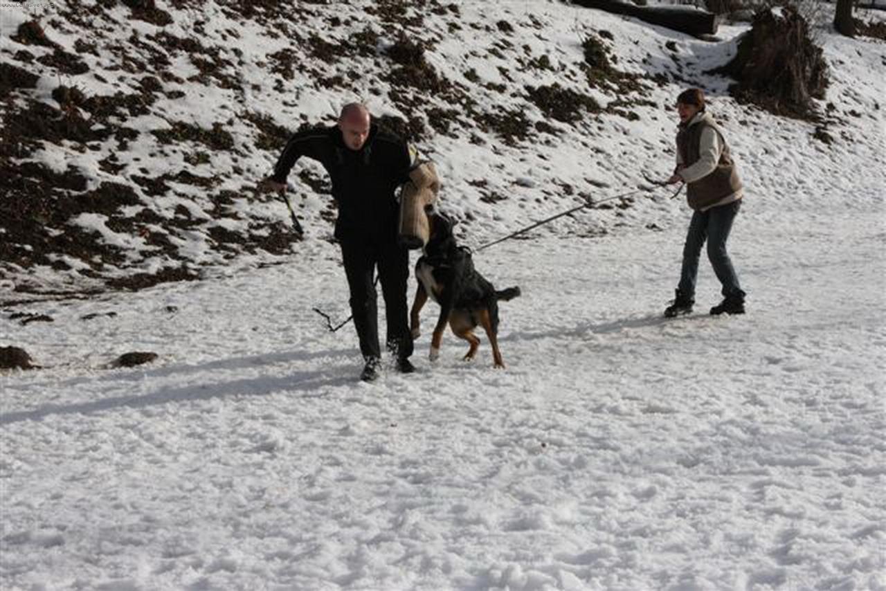 Foto: Angie v akci-i kousat um�m