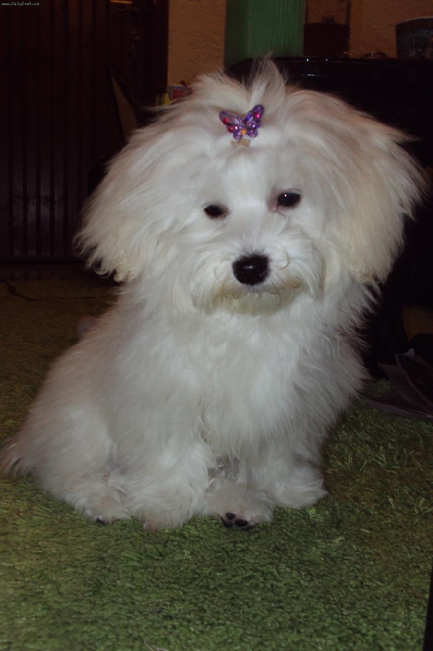 Foto: Ami-Na�e Lady