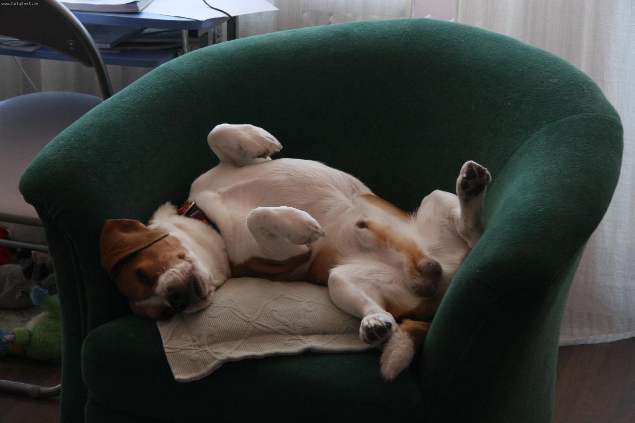 Foto: Neru�it, spink�m!!!