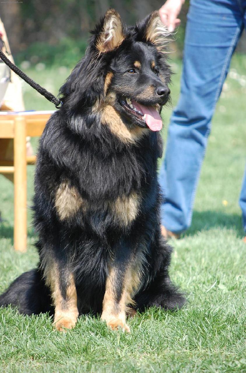 Foto: Cooper Preberry