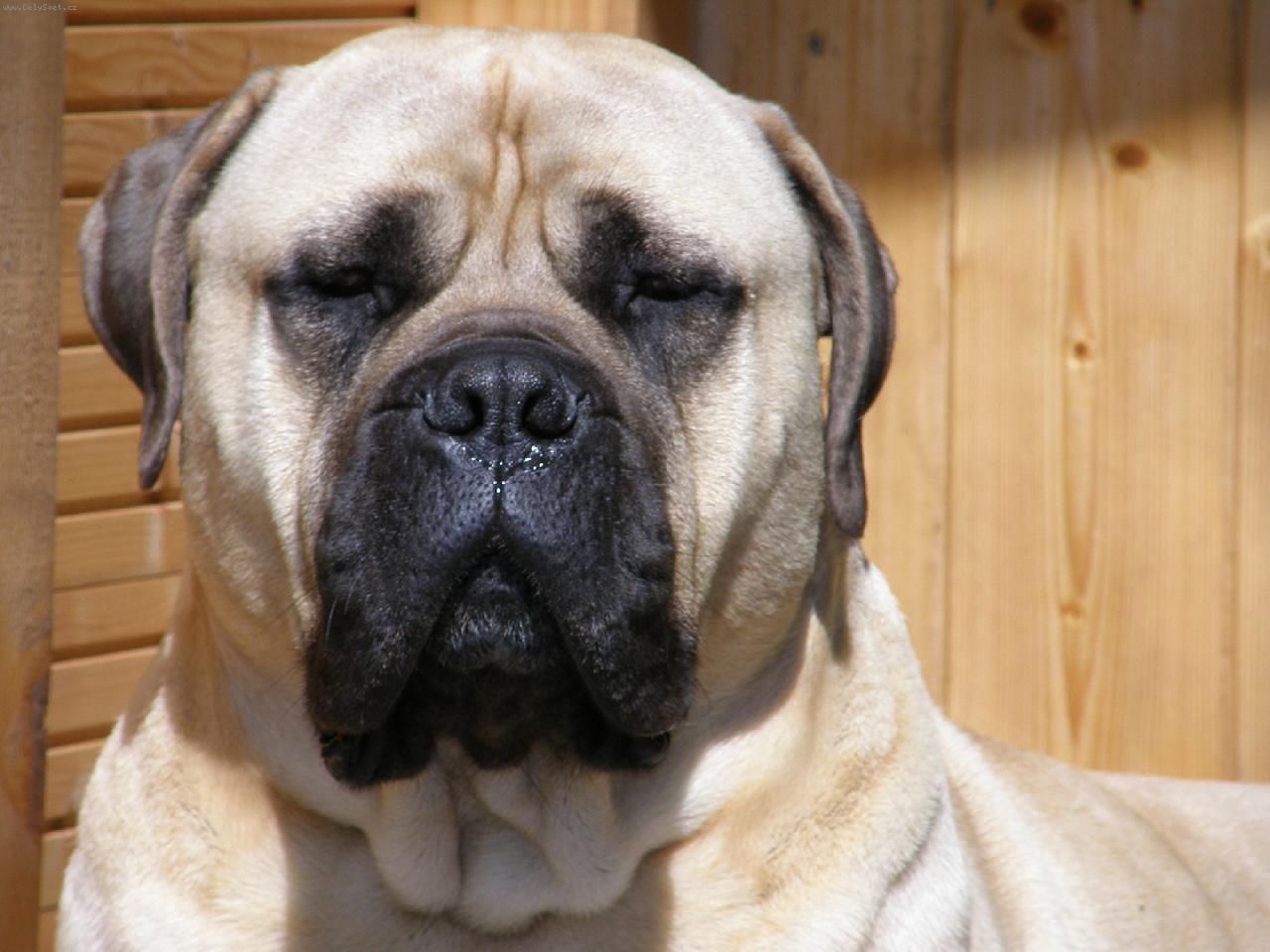 Foto: GORDON Nad�je ze Zvole