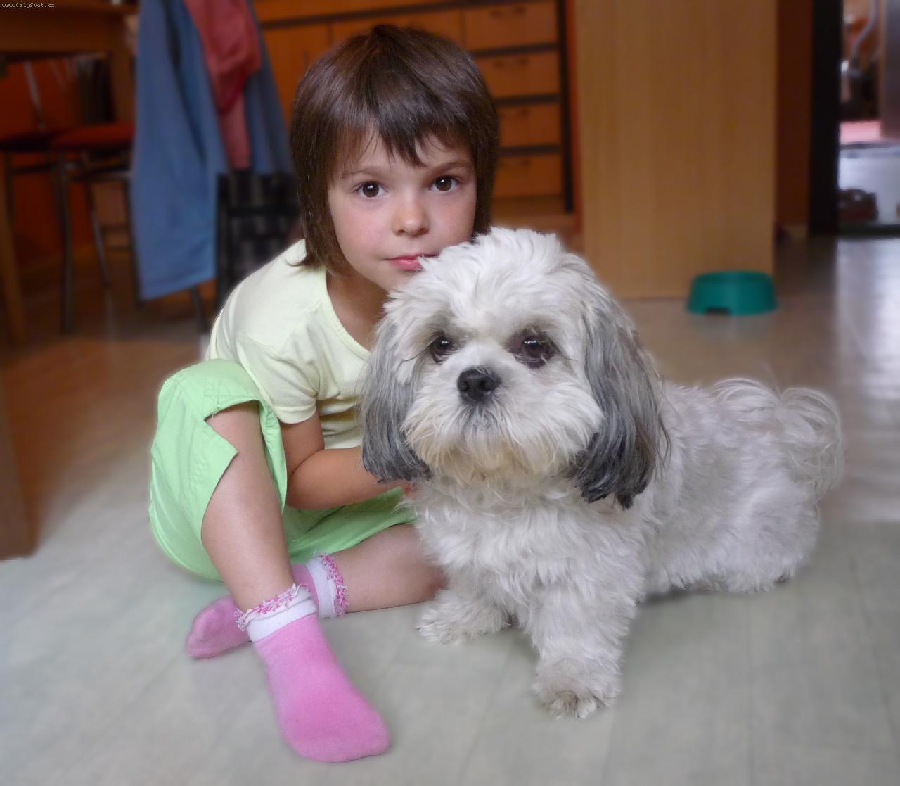 Foto: P��telstv� ...