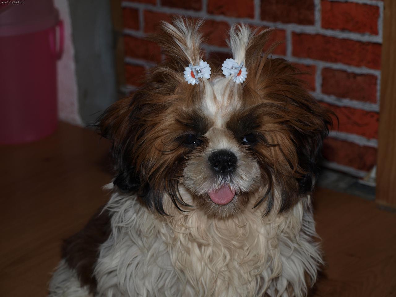 Foto: Ro���k-u�esan�