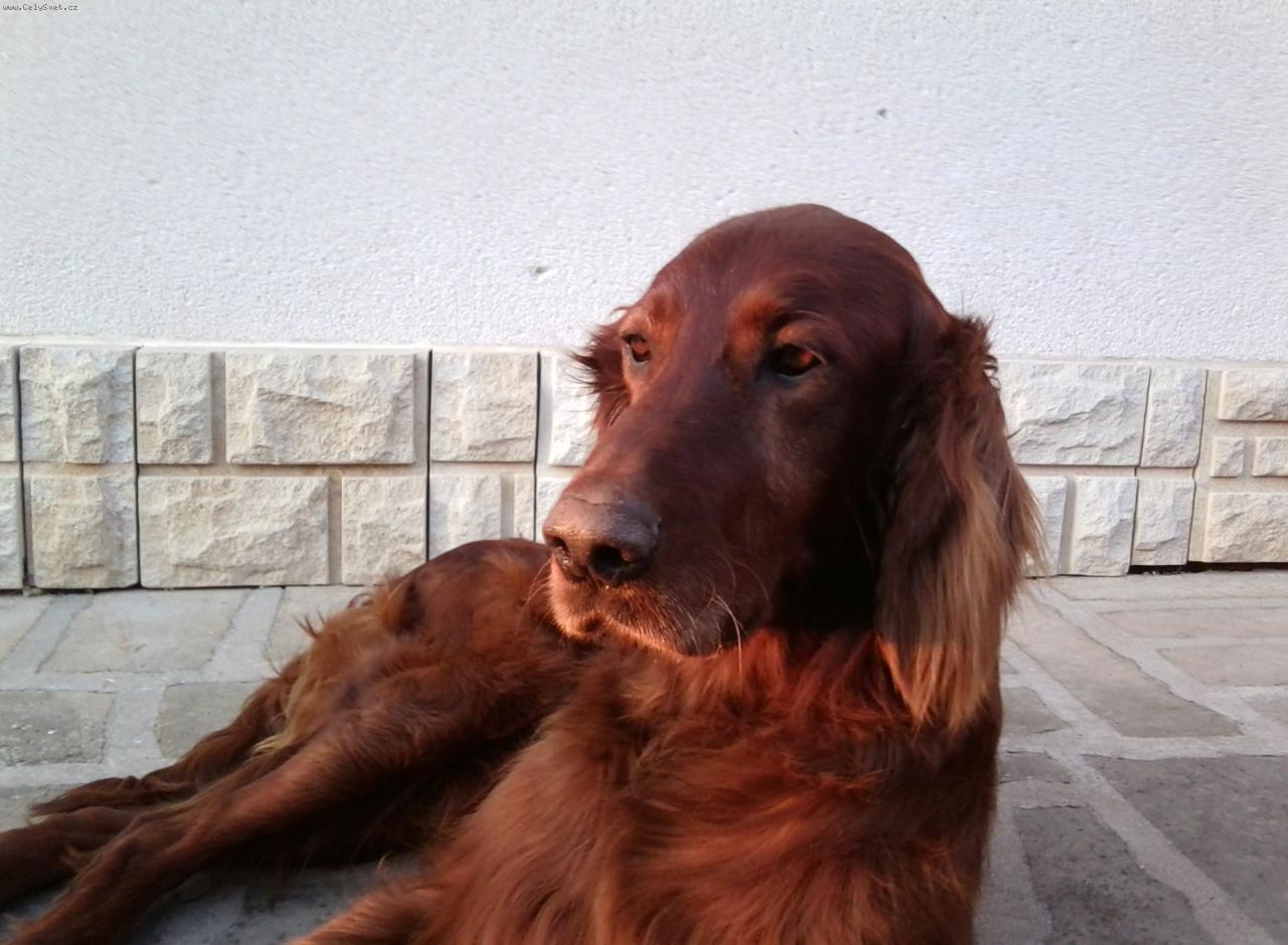 Foto: N� Edou�ek