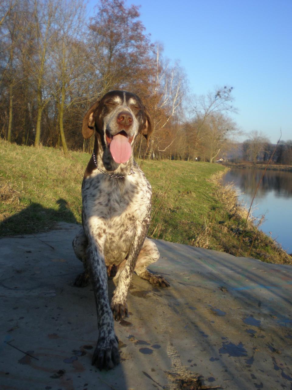 Foto: Lord-u �eky Be�vy