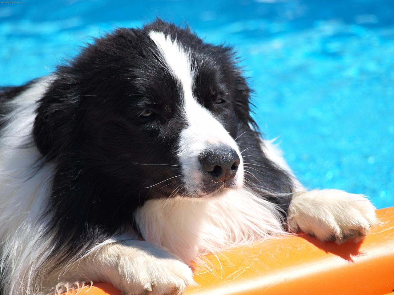 Foto: v baz�nu-Apollo v baz�nu