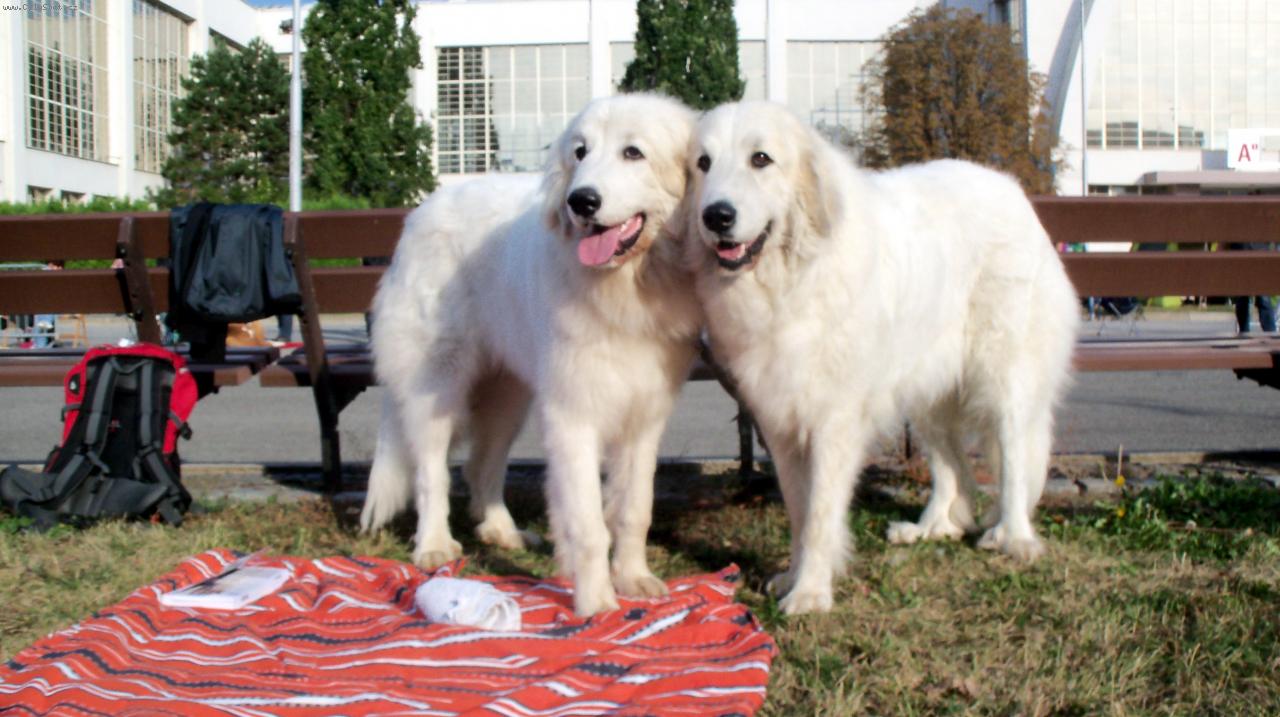 Foto: Ankara Od Beskydskych vrchu a Atlanta Perla Silesia