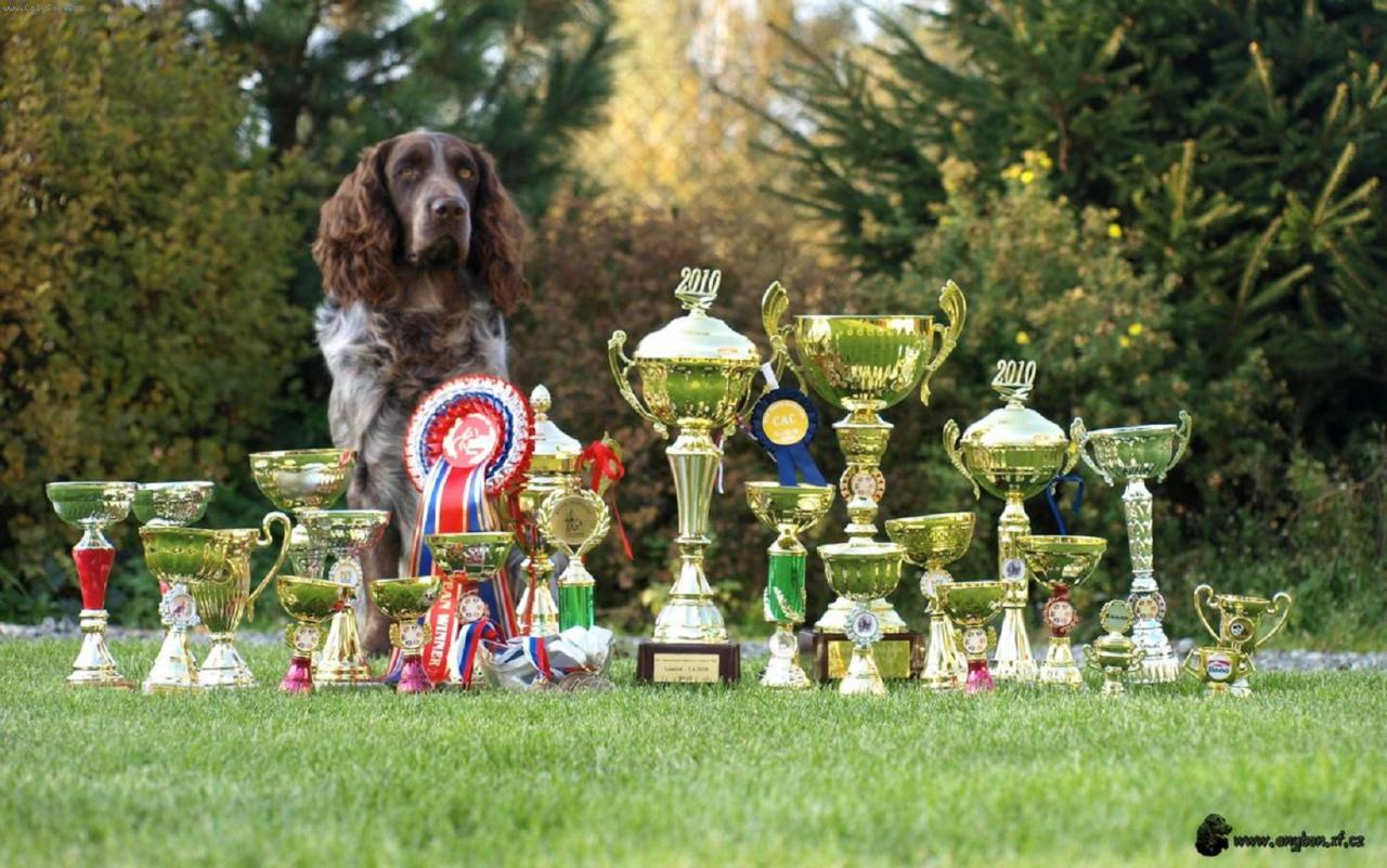 Foto: ARCHIE ANY-BON-archieho �sp�chy jak v exteri�rov�m tak v pracovn�m poli