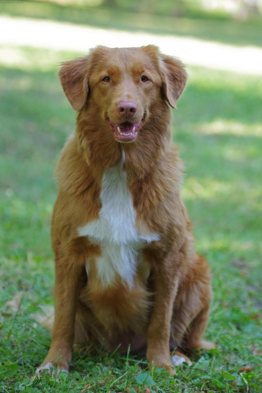 Foto: Romy Rudolfovsk� sk�la