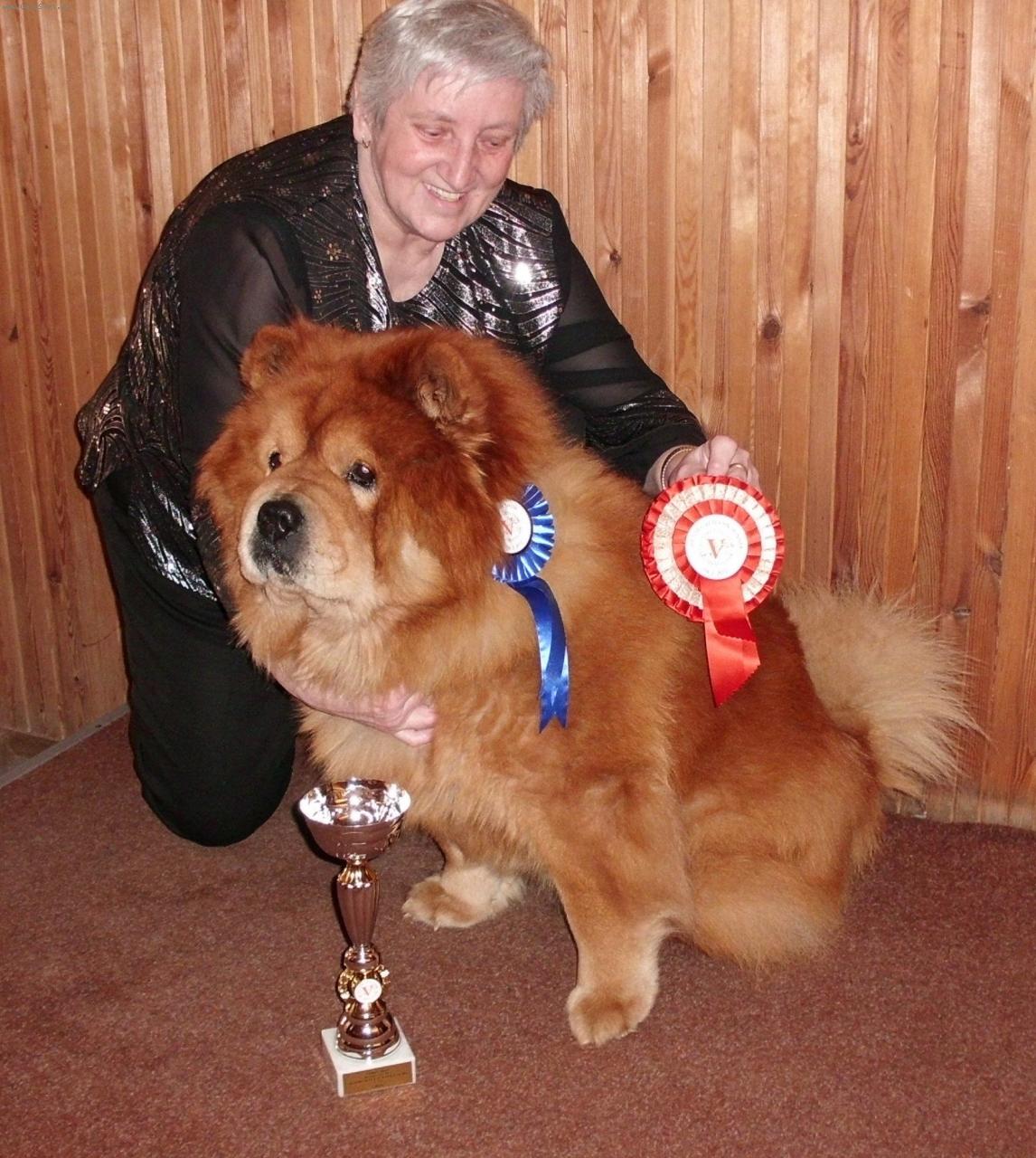 Foto: trofeje ze zahrani��-�ampion �ampion� Slovensko