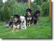 Cel� na�e sme�ka:-))