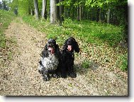 Moji dva ro���ci