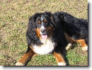 Harry - j� jsem j�