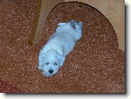 Na�e 7 t�denn� miminko