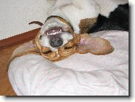 Je to par�da lehnout si na z�da :)