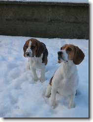 Ve dvou se to l�pe t�hne :)