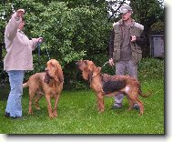 man�el� v Belgii