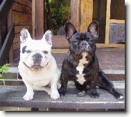 nerozlu�n� dvojka