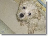 Nem�m r�d koup�n�....