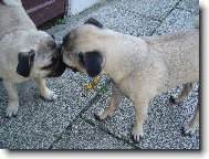 Queeny a �iki se maj� opravdu r�di:)