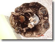 super pole�en��ko