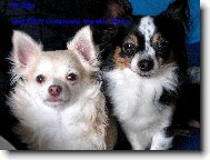 Fredi a Endy Chomutovsk� Amorek