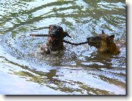 Malin� vyd�i�ky